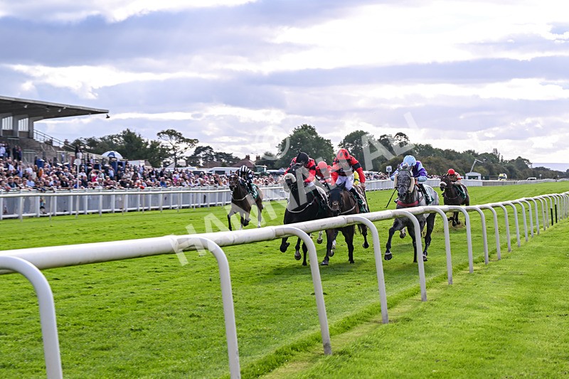 050926-Race 7-Andesite-5457 - Race 7 5pm Thirsk Racecourse Ideal Conference & Events Venue Handicap (Div I)