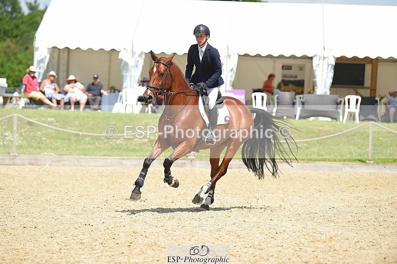 230528-121228-15580 - 318-JUST_HAVE_FAITH_TN-Alfie_Marshall-SUNTrotUp+SJ