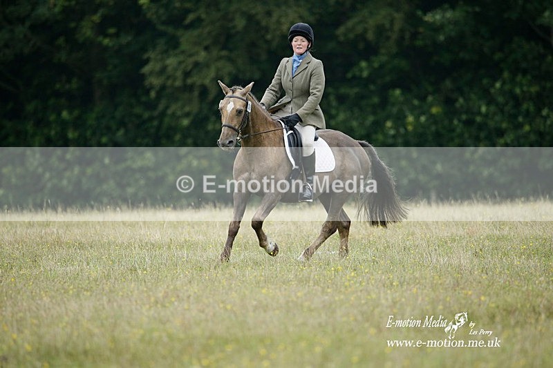 BVRC 030721 525 - Bourne Valley Riding Club Dressage 03/07/21