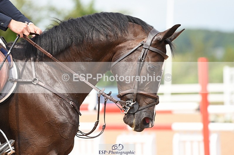 230628A-113622-00291 - Cls 2 Discovery & 1m Open