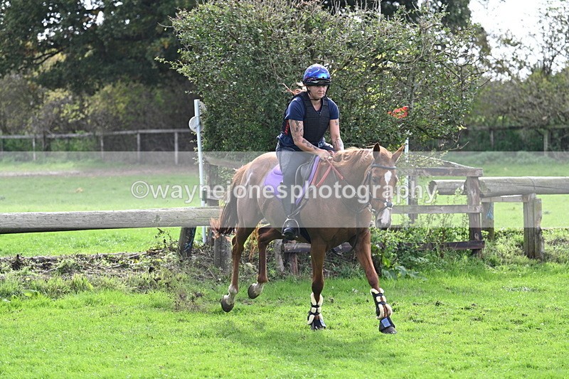 WJ7_9737 - Time 13:13 to 13:55