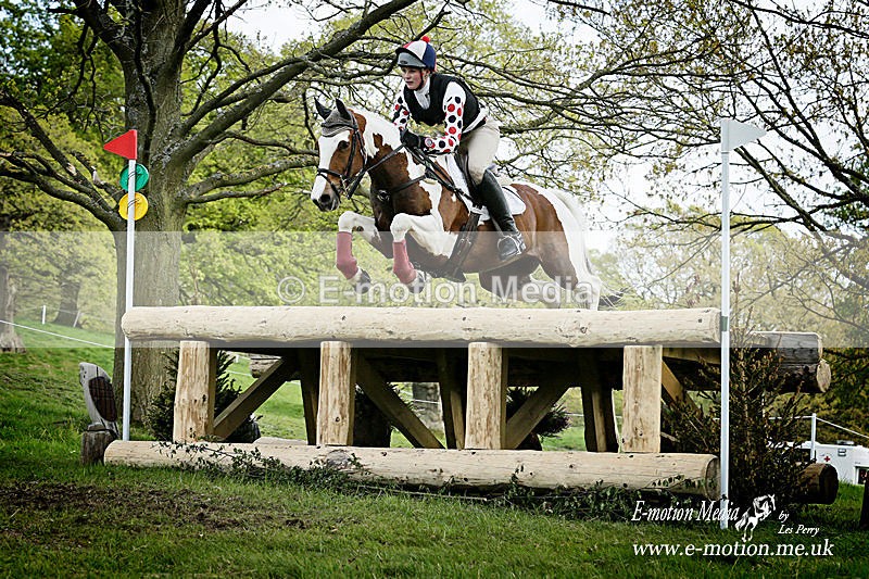 Chatsworth 130517 -3040port - Equestrian
