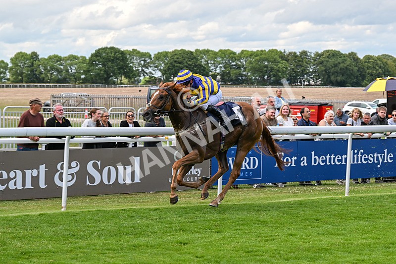 240625-Race 7-Azuinthejungle-9362 - Race 7