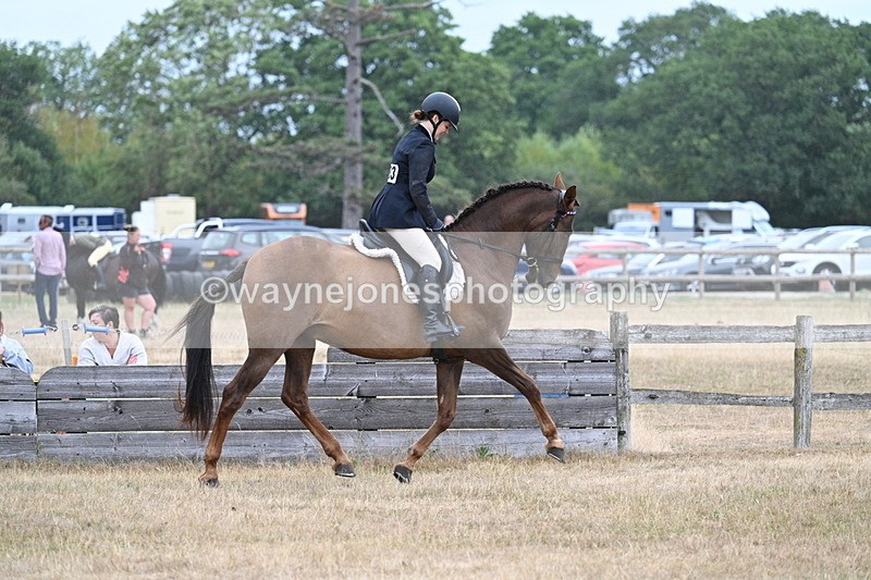 WJ7_0880 - Class 7 Riding Club Show Horse