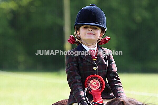 IMG_4907 - Working Hunter