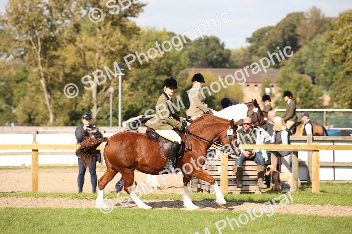 SBM_50049 - S26 - Young Veteran - Ridden