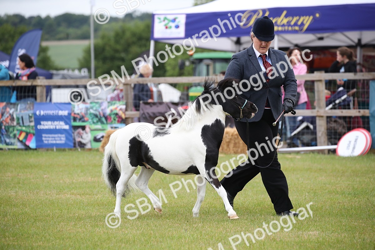 SBM_03757 - Class 23-25 - British Miniature Horse of the Year