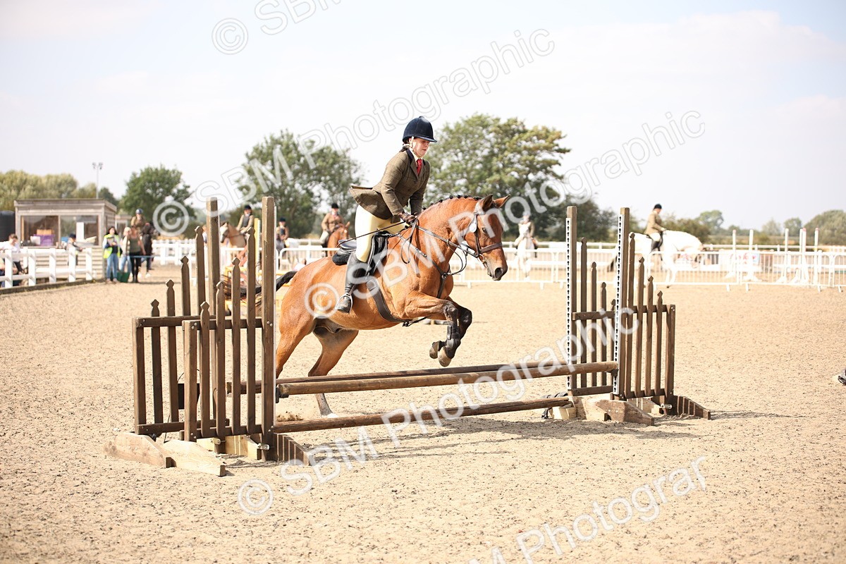 SBM_14147 - Class 407a - Working Veteran 60cm (15-19