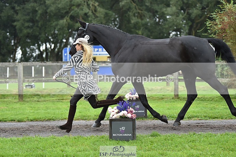 231018-124308-00475 - 056-WILLOW.BDA-Lisa.Maynard-TrotUp