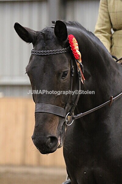 SIAL2763 - Sunday 14th Ridden