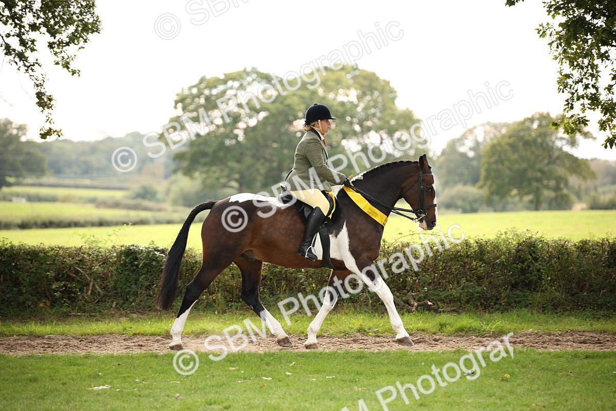 SBM_73617 - Ridden Horse Supreme Championship