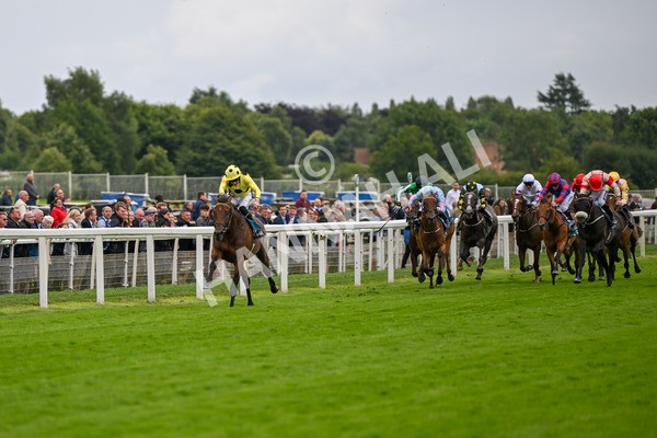 120724-Race 5-Sisyphean-6223 - Race 5 4.20pm George Blades Memorial Handicap