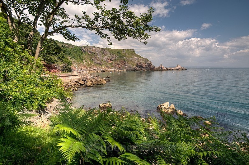Anstey Cove view and Long Quarry Point - Anstey's Cove and Redgate