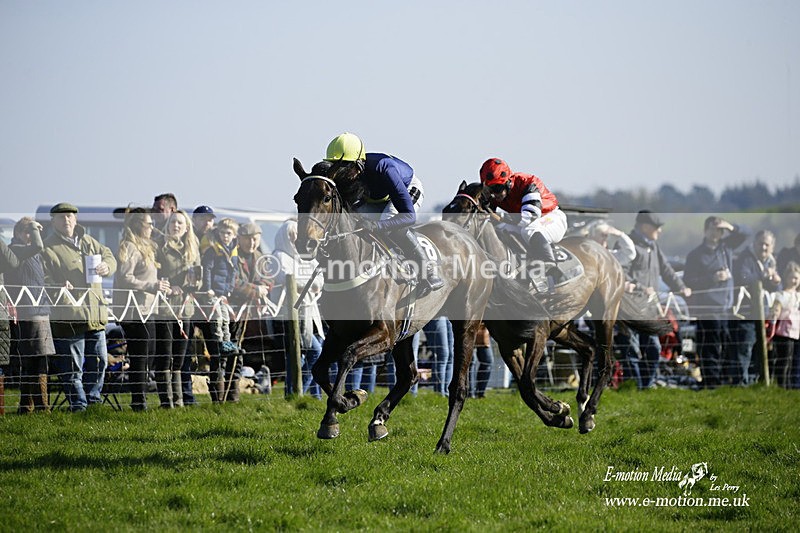 PtP 190322 738 - Wilton Hunt PtP Milborne St Andrew 19/03/22