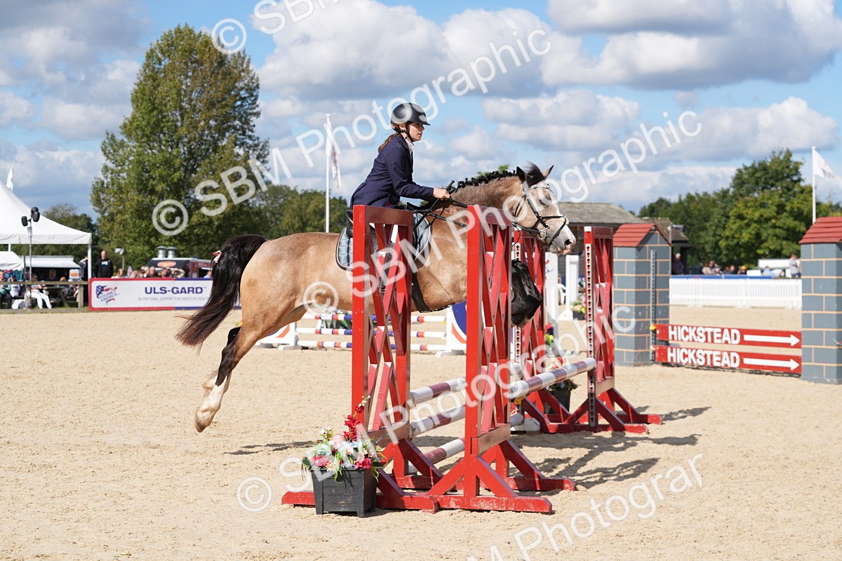 SBM_38878 - J21 - Junior Horse 60cm Championship
