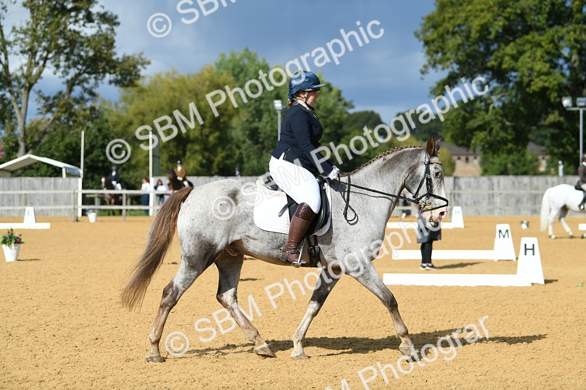 SBM_09783 - D15 Small Tour Championship Novice 24