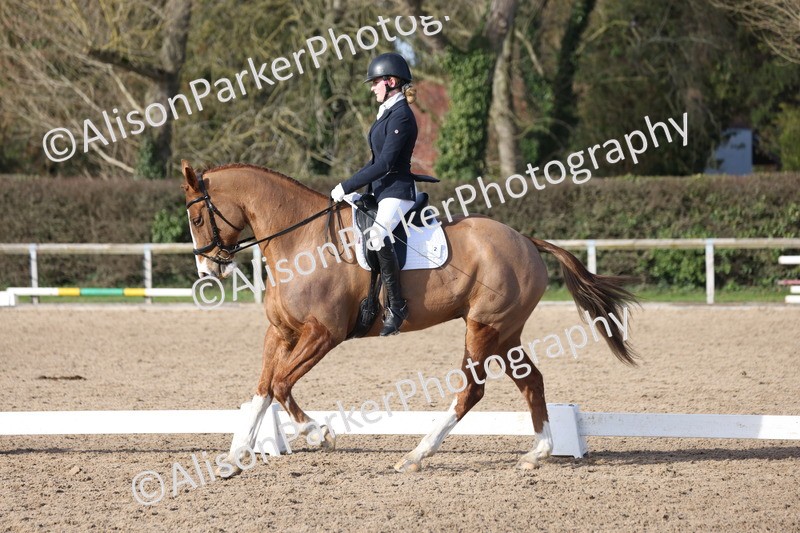 20260214-0619 - Class 5 - Novice 3