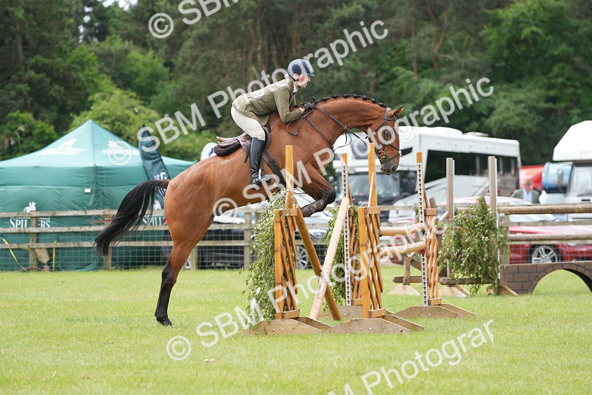 SBM_14916 - Class 100-102 - RIHS Working Hunter