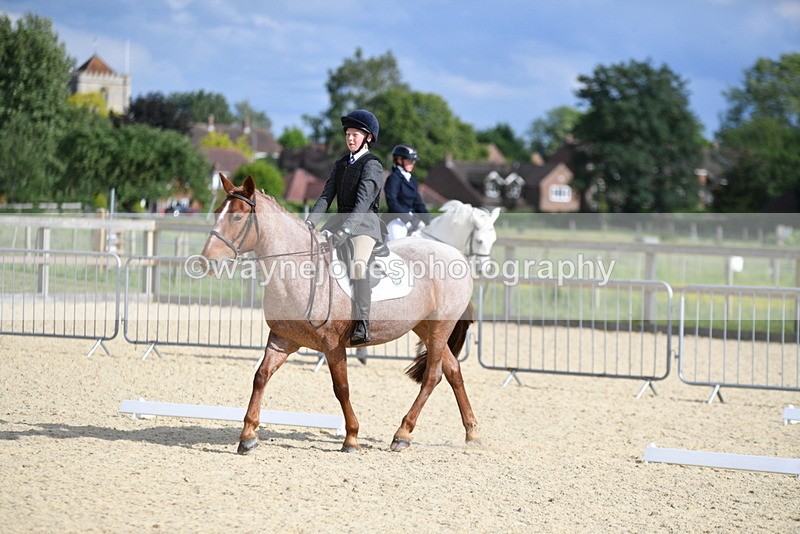 WJ5_7957 - Time 16:56 to 17:14