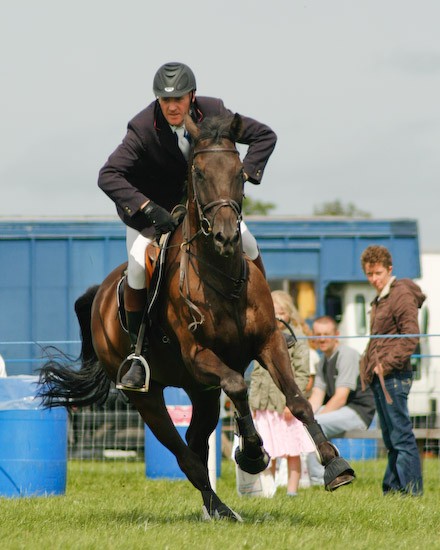 7 - Equestrian Photography