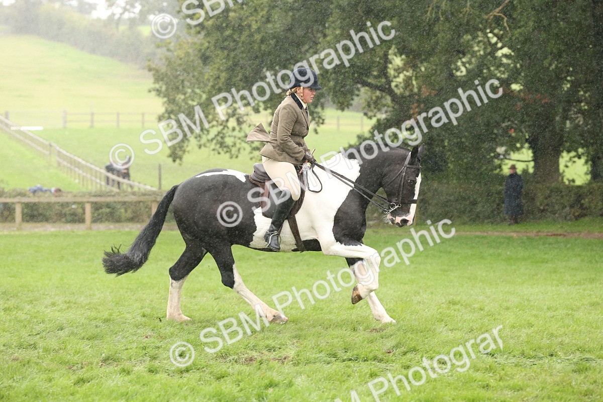 SBM_69811 - S69 - Show Cob Ridden