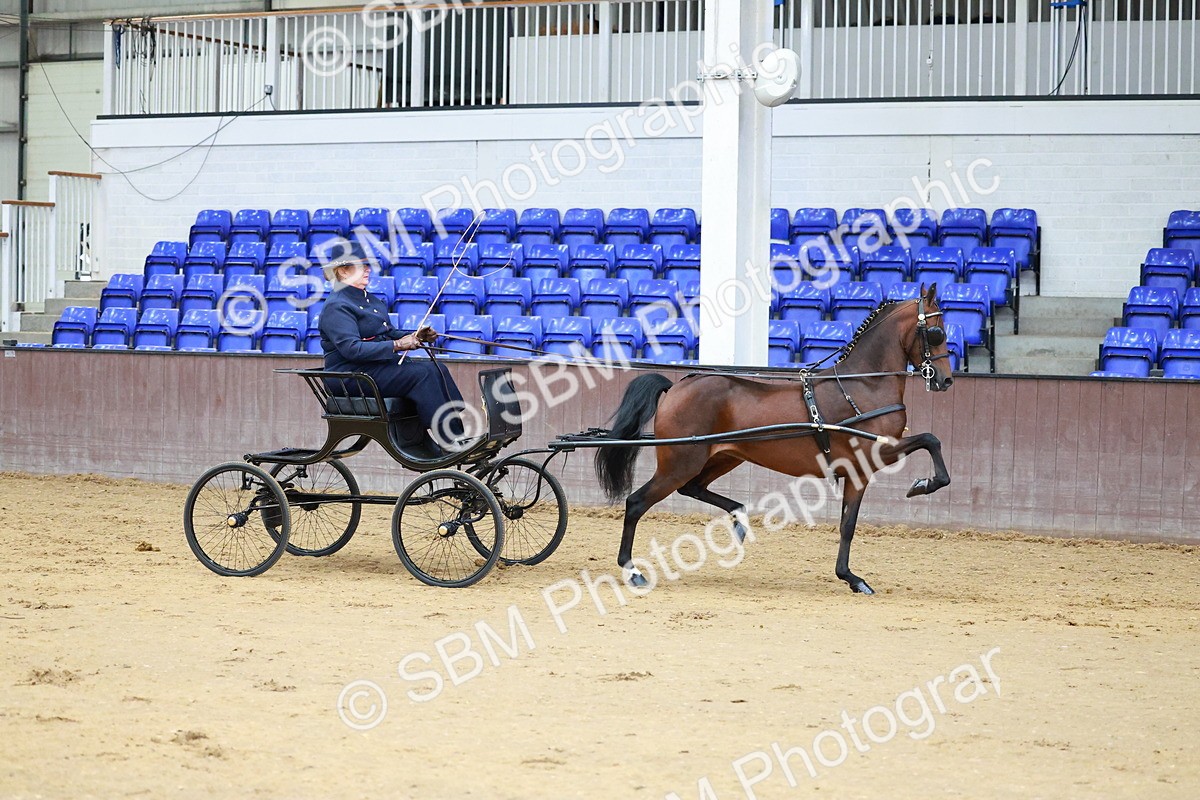 SBM_000621 - Class 9 - HHS Championship Intl Hackney Pony to a Showwagon