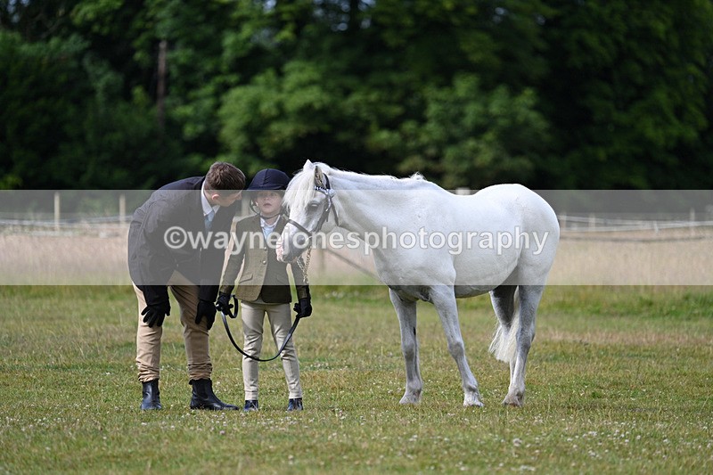 WJ7_4551 - Class 1 Lead Rein Pony