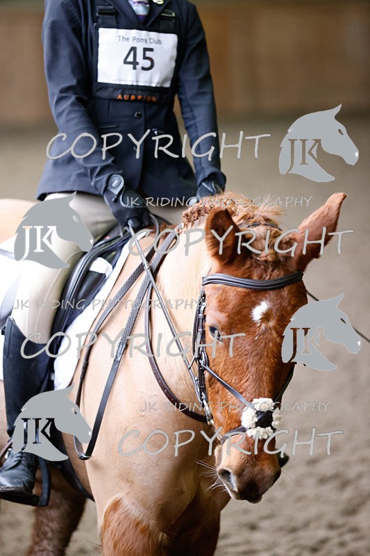 _R6A2634 - Class 3 Grassroots 2018