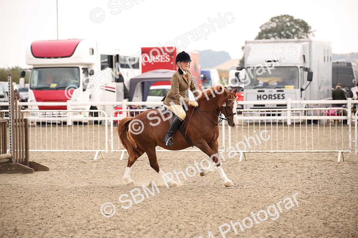 SBM_12259 - Class 405a - M&M Working Veteran 50cm (15-19)