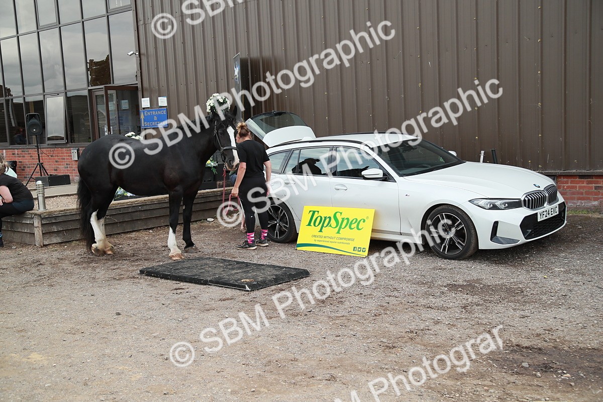 SBM_004055