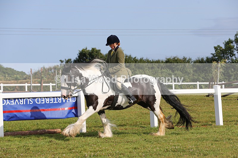 1X9A3288 - Class 28: Ridden Native/Trad Coloured Pony
