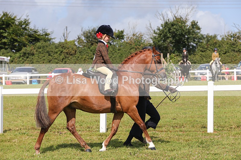 1X9A3624 - Class 29: Lead Rein SP/SHP