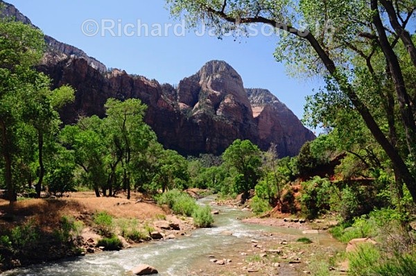 IMG: 0086 - Zion National Park