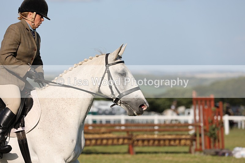 JPP_3373 - Class 22: Working Hunter 90cm