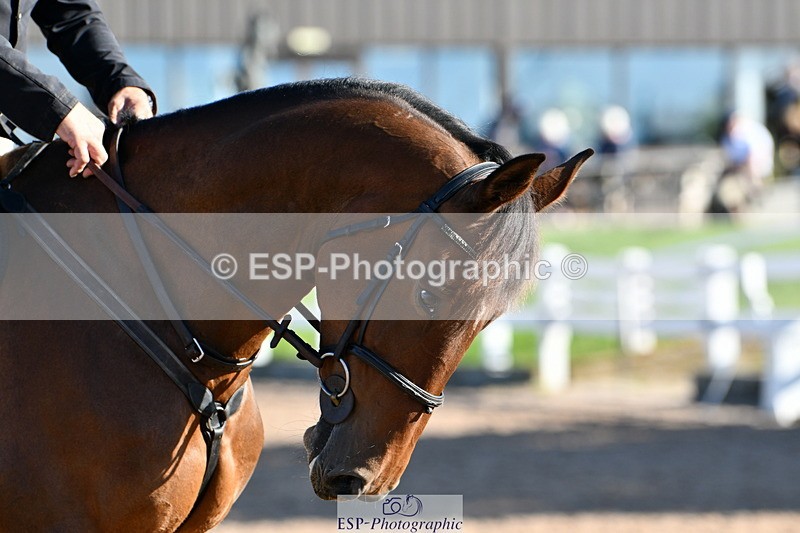 240913A-094514-03008 - Cls 20 Snr British Novice and 90cm Open