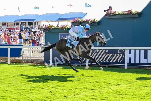 110725-Race 7-Secret Beach-4709 - Race 7 5.40pm William Hill Bet In Running Apprentice Handicap