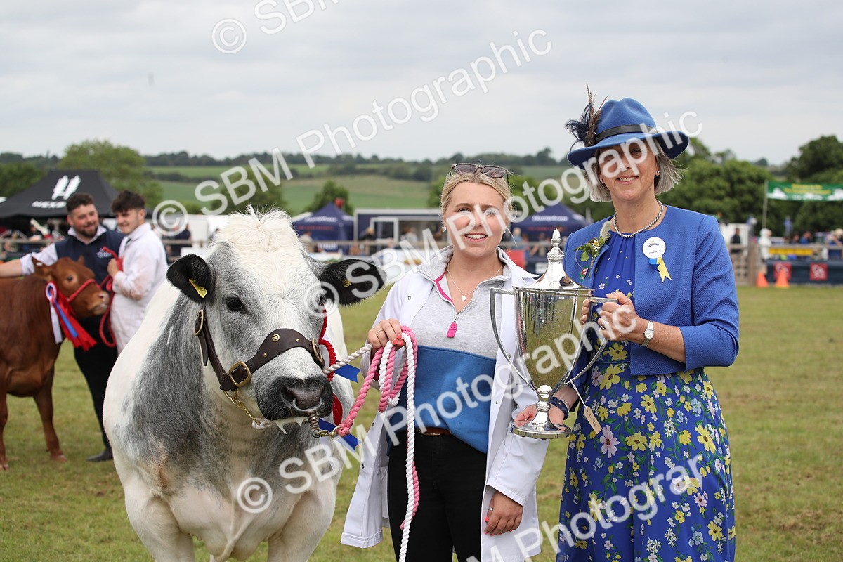 SBM_07928 - Grand Parade