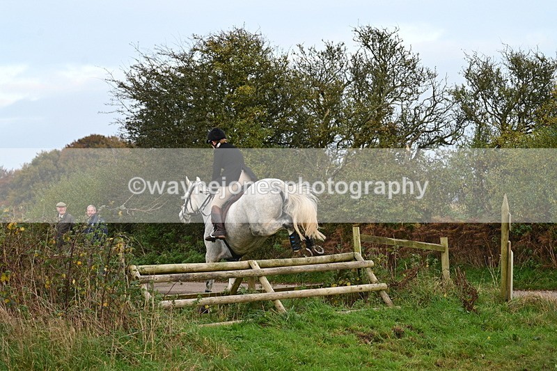 WJ7_0418 - Camera 1 & Last fence