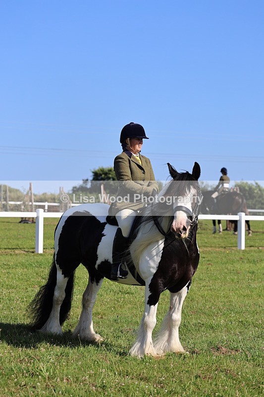 IMG_1535 - Class 30: Ridden Native/Trad Coloured Pony