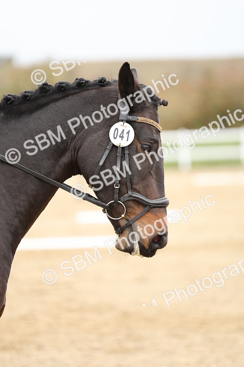 SBM_002979 - Class 8 - Novice 1