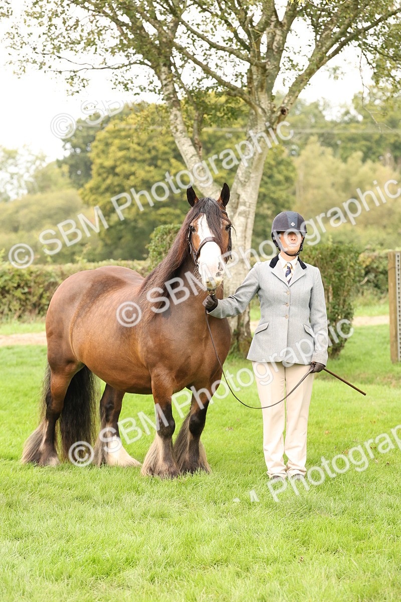 SBM_59307 - S57 - Traditional Cob In Hand