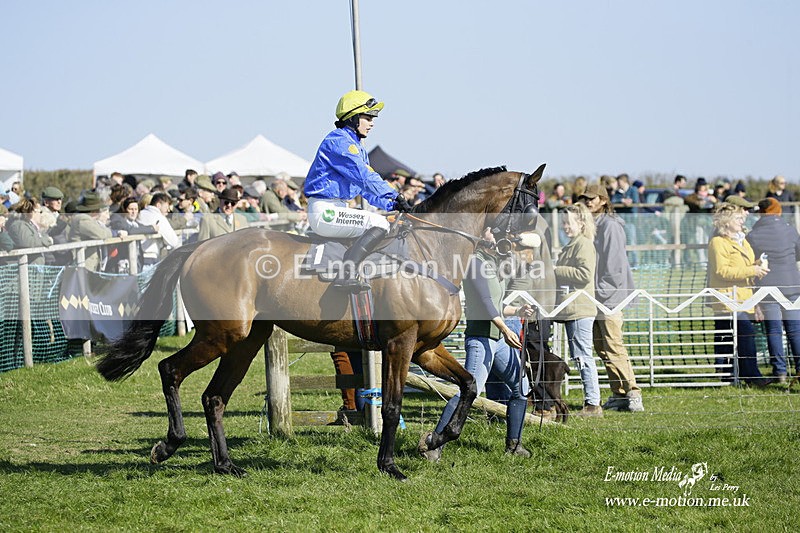 PtP 190322 456 - Wilton Hunt PtP Milborne St Andrew 19/03/22