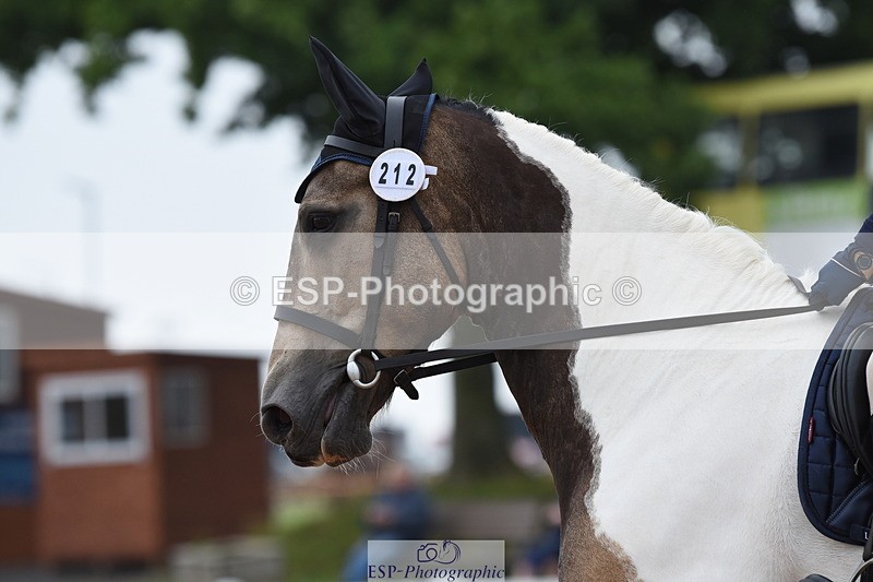 230708A-121654-01701 - Prelim 7