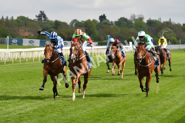 yr14052021r7-24 - Race 7 4.50pm Irish Thoroughbred Marketing Stakes