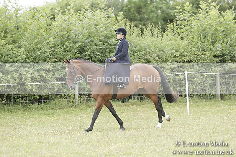 BVR160717-2376 - Side Saddle Classes 16/07/17