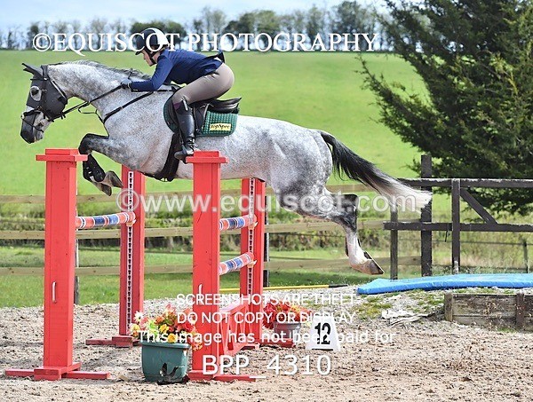 BPP_4310 - CLASS 8 FRI Senior Foxhunter/ 1.20m Open