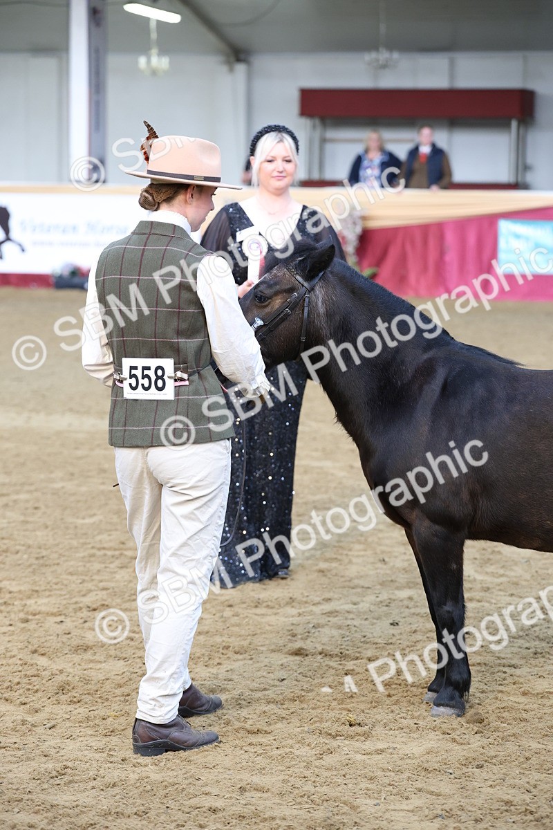 SBM_21881 - Class 901 - Supreme Final - IH  Diamond