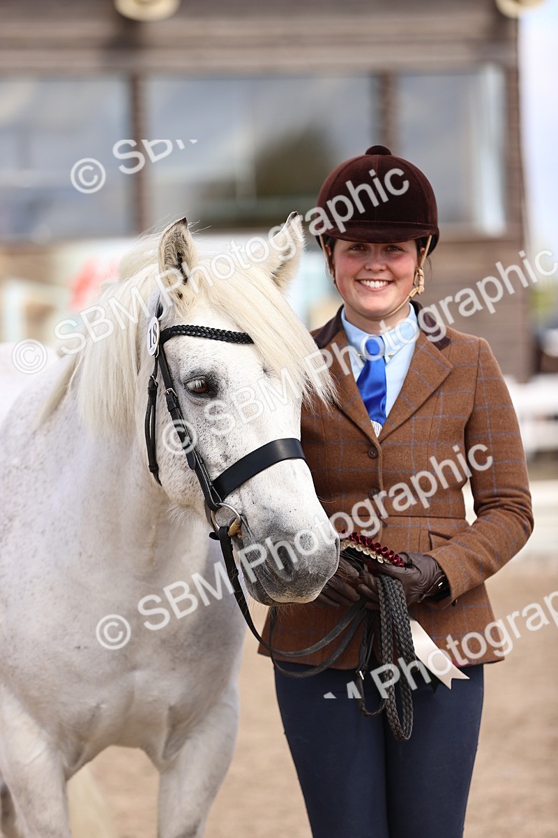 SBM_14420 - Class 412 - Handsomest Gelding (IH or Ridden)Adult