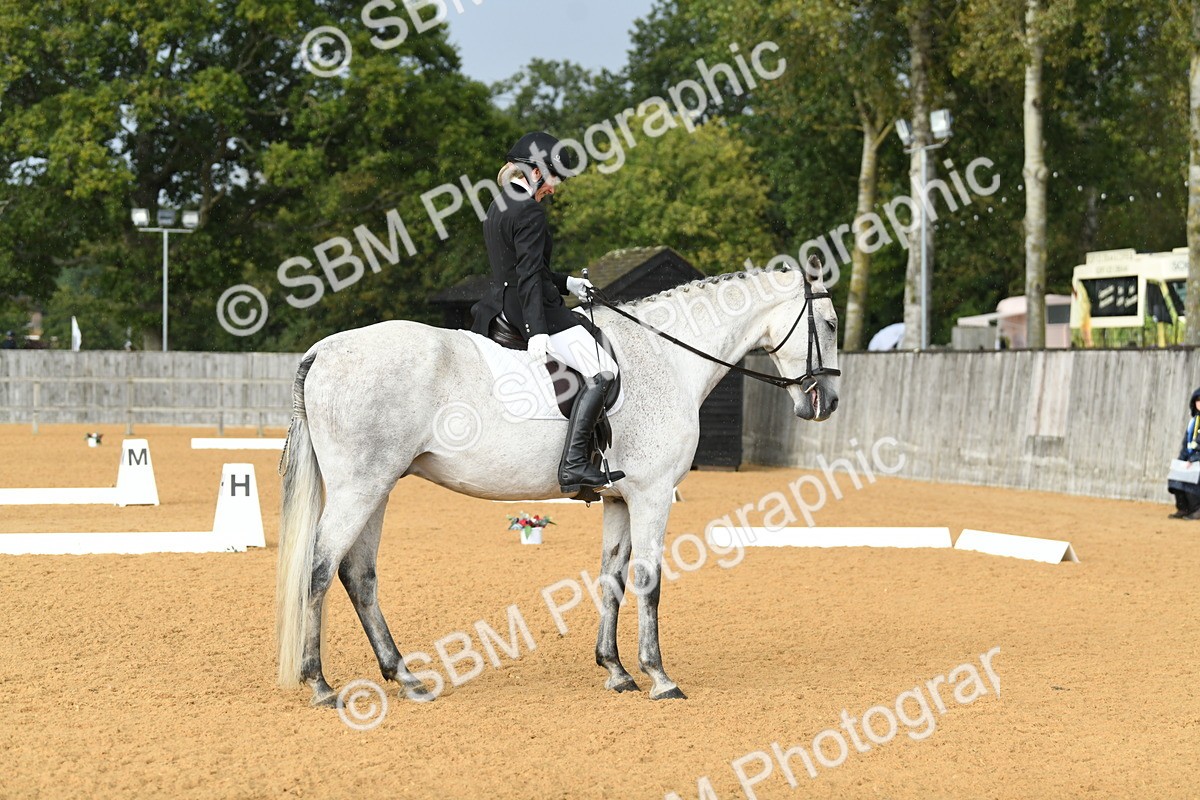 SBM_11188 - D28 Elementary Taster Elementary 42