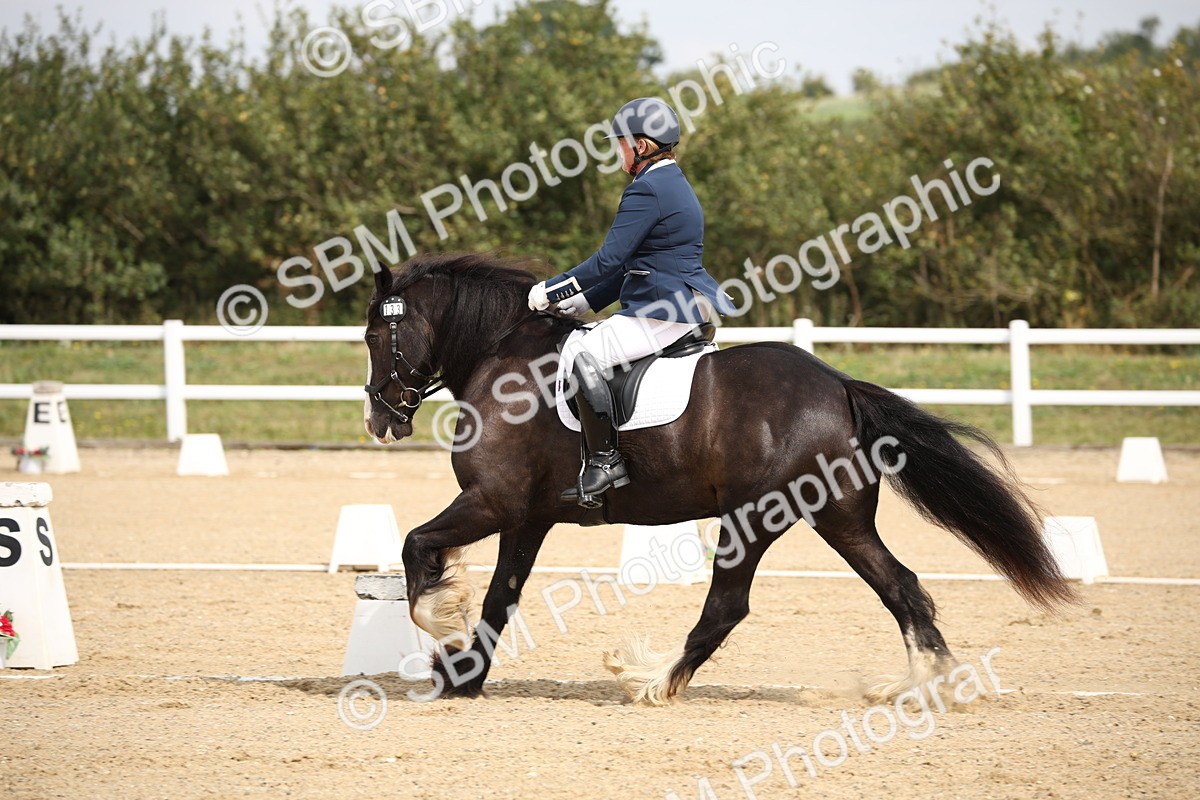 SBM_019776 - Class 22 - Medium 73 - 10.36 11.32